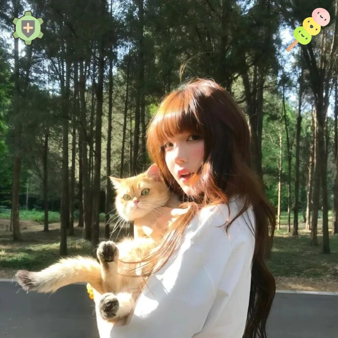 云起